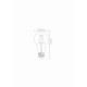 LED BULB Ampoule filament Ø 6 cm LED Dim. E27 1x5W 2700K Transparent 49020/05/60 