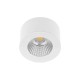 Oleo 62 R 8W 630LM 3000K 38 ° Mat white DO19530 